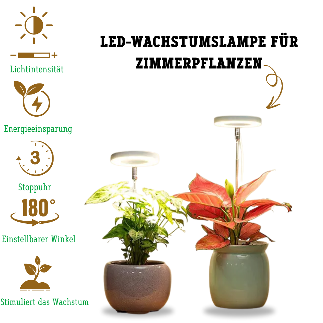 Wachstumslampe für Zimmerpflanze